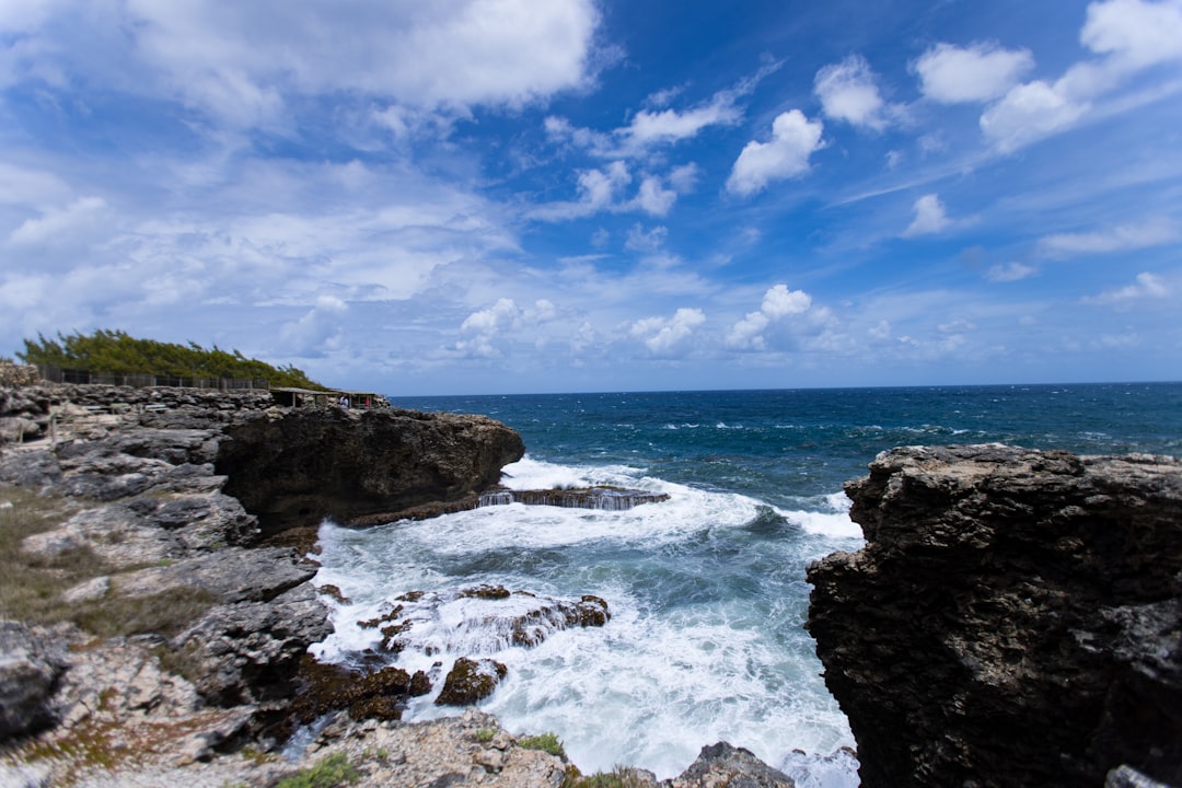 Savor Barbados: Unearthing the Island's Top Street Food Markets & Local Eats