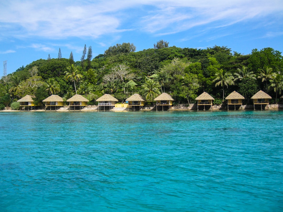 Explore Paradise Pages: Vanuatu's Most Beautiful Libraries and Bookstores