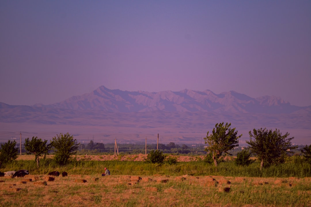 The Best Places for Kayaking and Canoeing in Uzbekistan