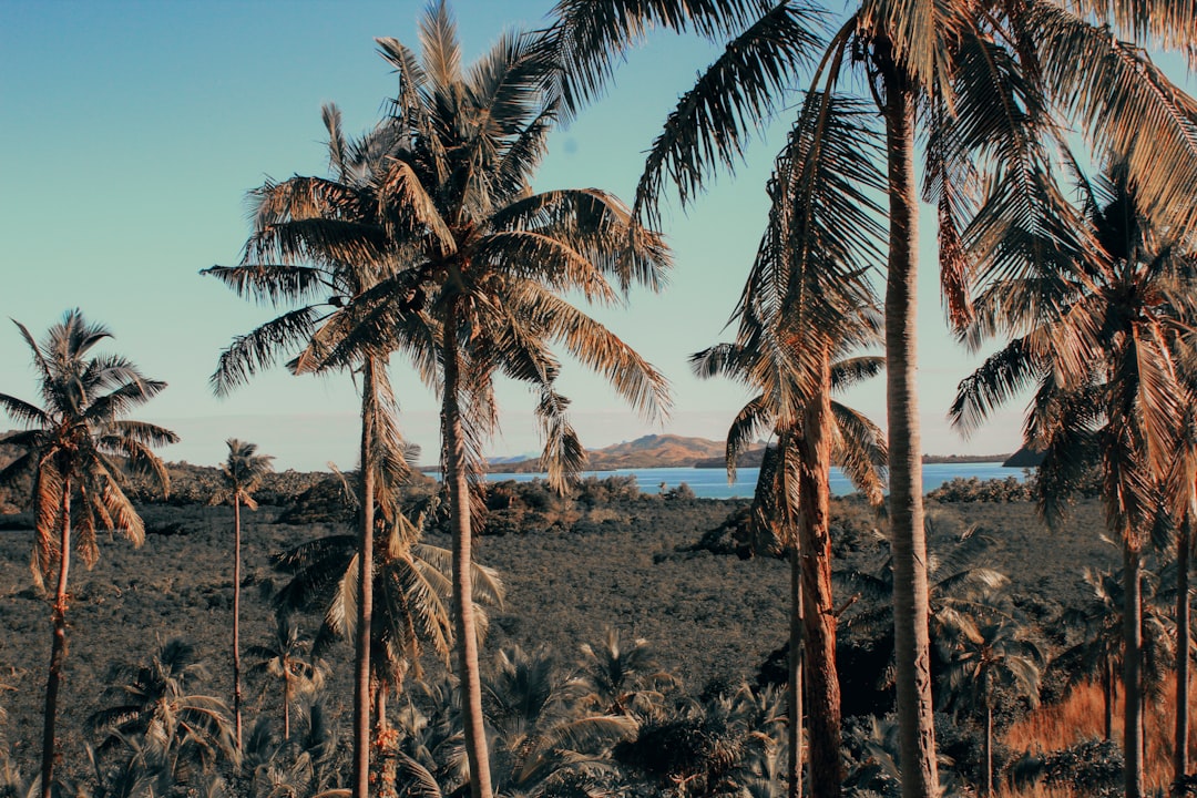 How to Experience Fiji Like a Local, Not a Tourist