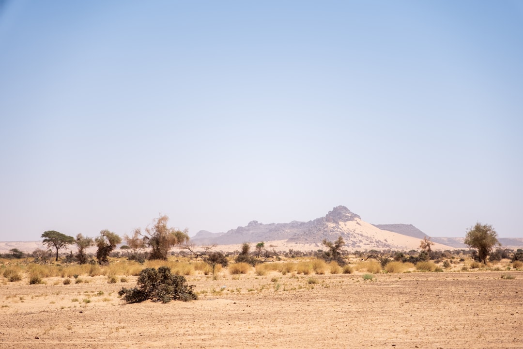 Essential Arabic Phrases: Your Guide to a Seamless Trip in Mauritania