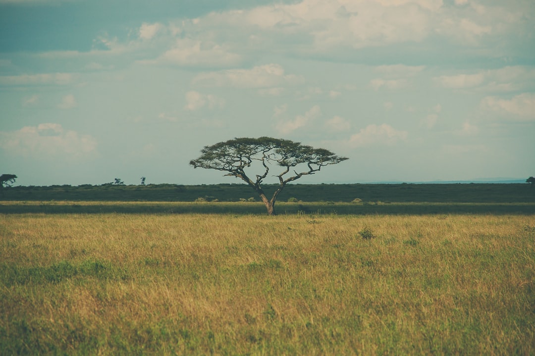 Discover Tanzania's Most Breathtaking Sunsets: An Ultimate Guide