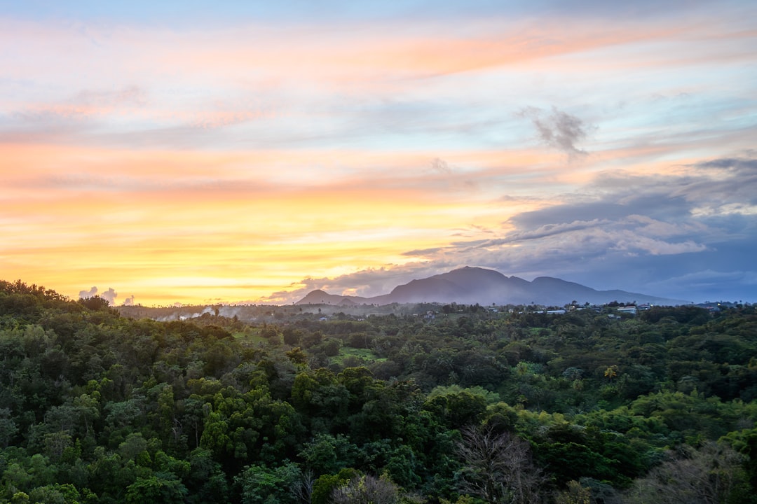 10 Best Things to Do in Dominica for First-Time Visitors: Your Ultimate Nature Isle Guide