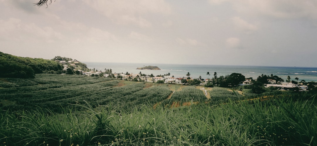 Discover Martinique's Breathtaking Scenic Drives: An Unforgettable Road Trip Guide