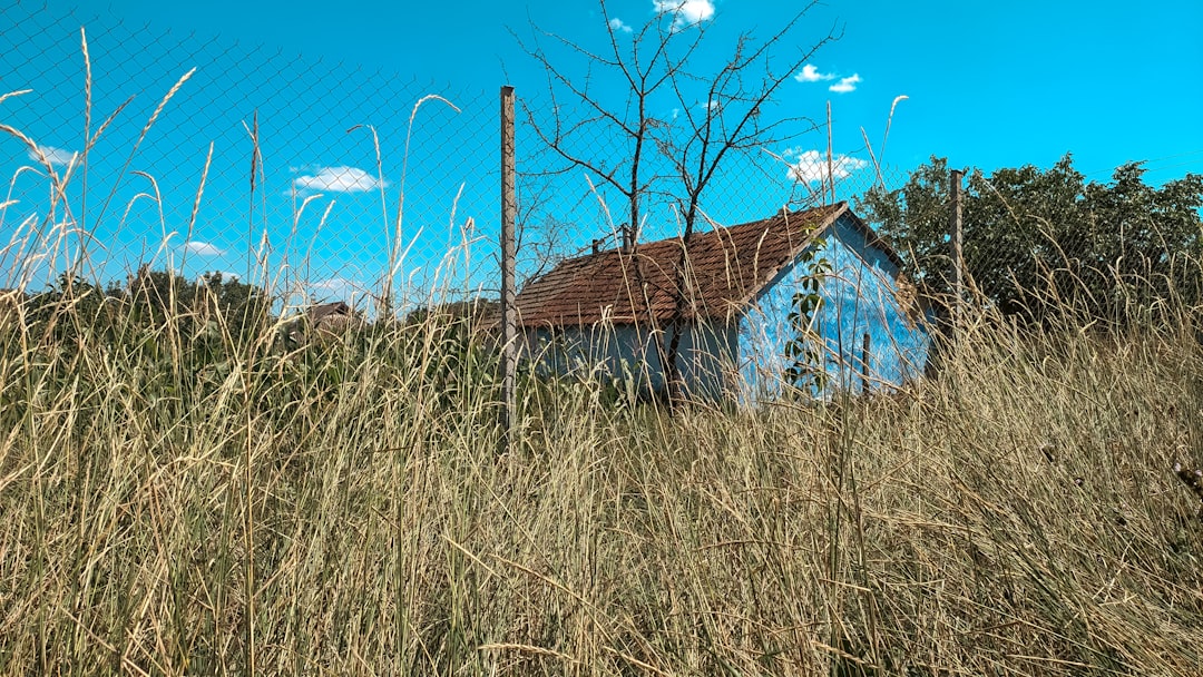 Top 10 Photography Tips for Capturing the Beauty of Moldova
