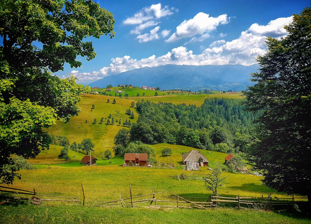 Navigating Romania's Public Restrooms: An Essential Traveler's Guide