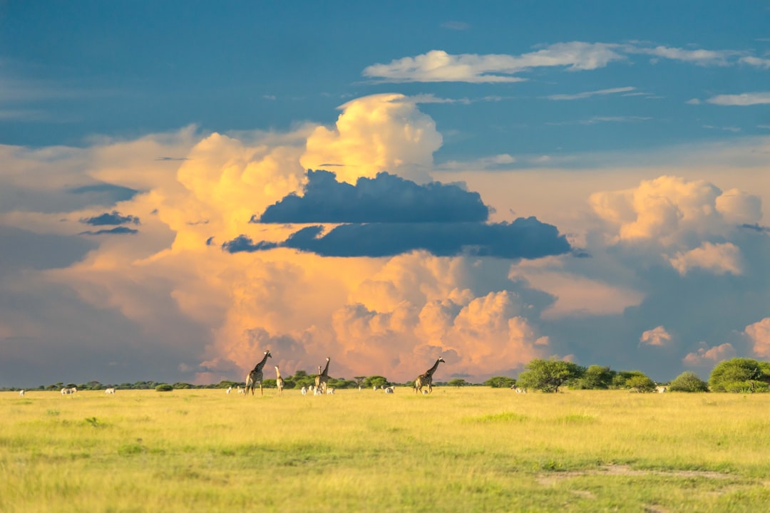 Haunted Botswana: Unveiling the Eerie Legends and Spooky Sites
