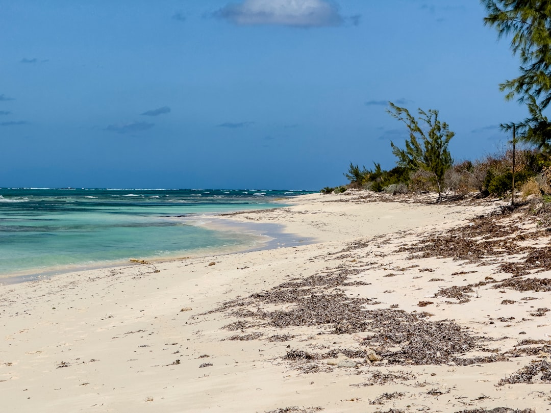 Sweet Escapes: Unearthing the Best Chocolate Shops in Turks & Caicos