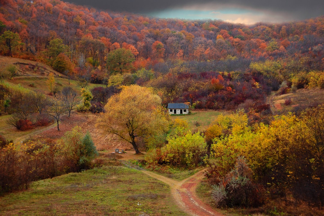 Discover Moldova's Hidden Gems: A Guide to Its Most Famous Courtyards