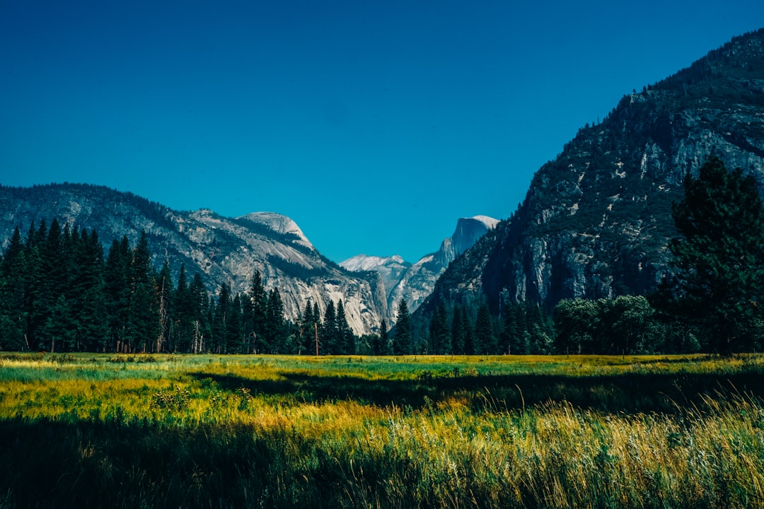 The Ultimate Guide to the Best Scenic Drives in the United States