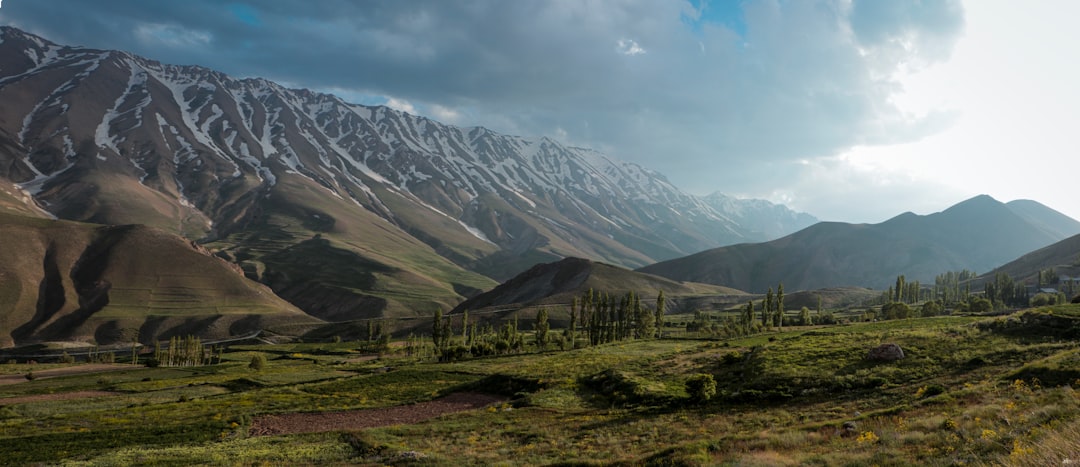 Wild CIS Revealed: Best Places for Incredible Wildlife Spotting Adventures