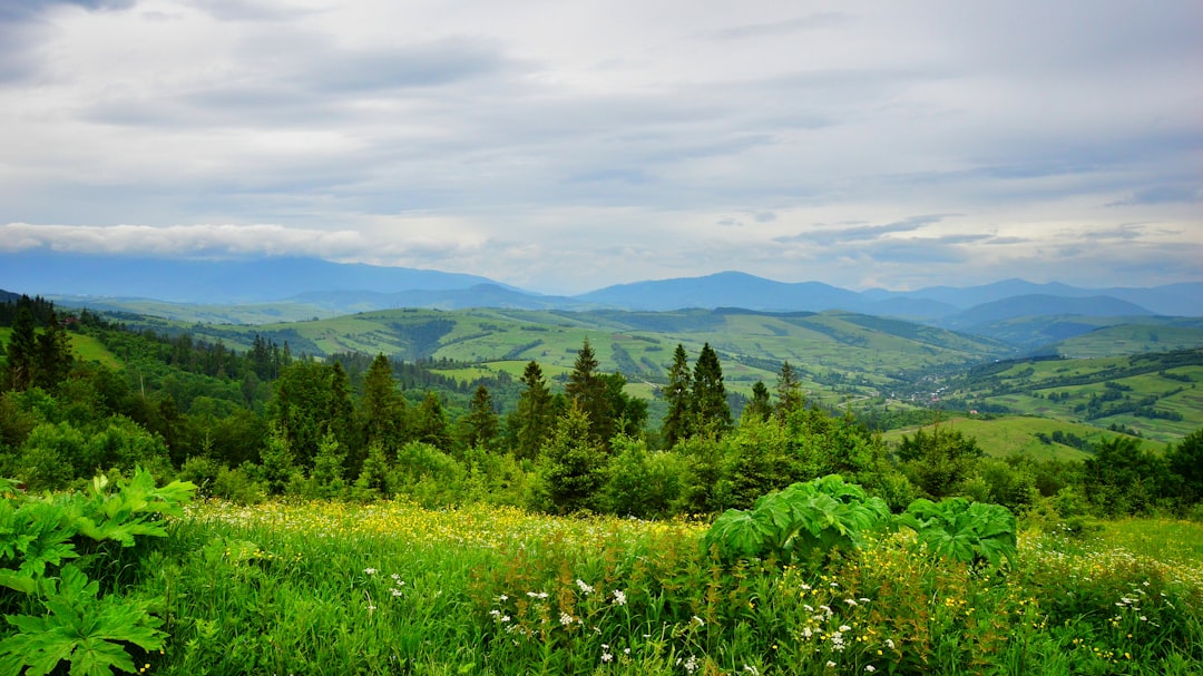 Stay Connected in Ukraine: The Ultimate Guide to Getting a Local SIM Card & Affordable Data
