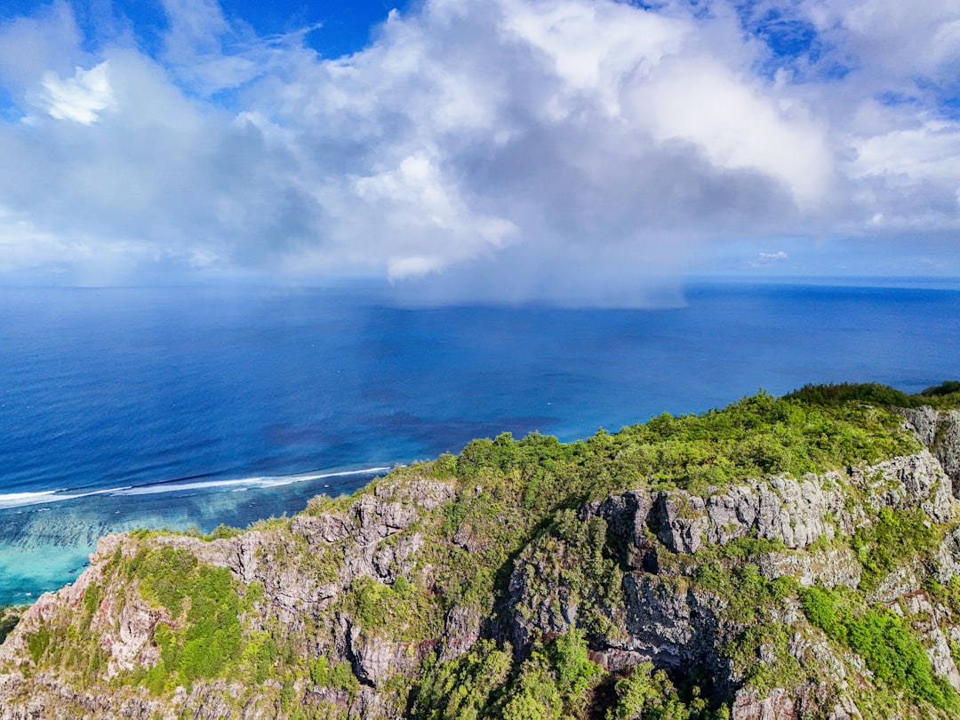 The Best Places for Bird Watching in Mauritius: A Birder's Paradise Awaits