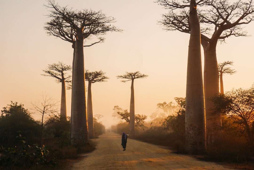 Discover Madagascar's Most Scenic Boat Trips: Unforgettable Coastal & Riverine Adventures