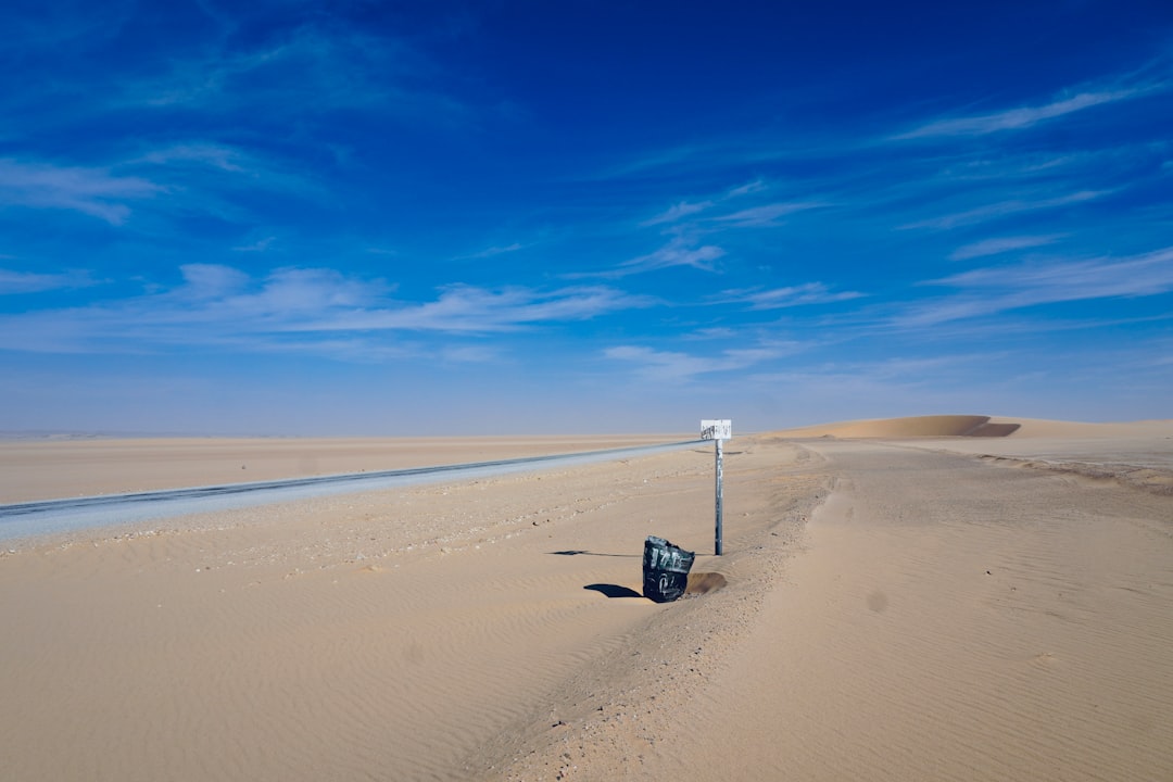 Drive with Confidence: Essential Safety Tips for Car Rental in Niger
