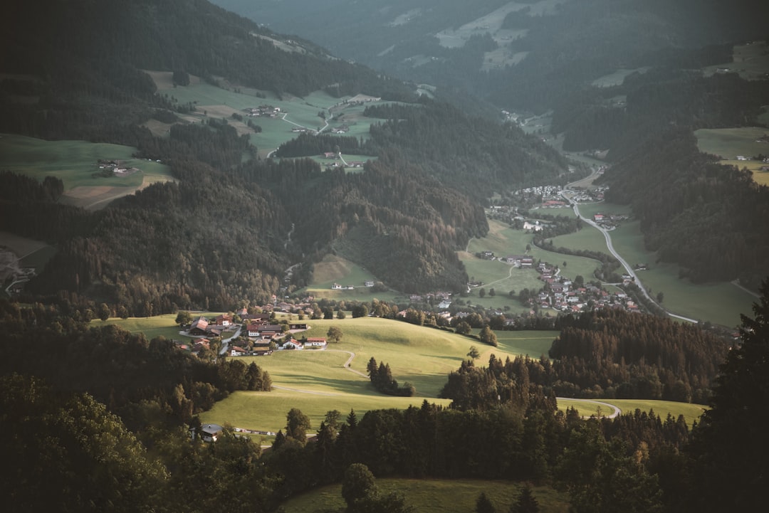 Whale and Dolphin Watching in Austria: Unveiling the Truth and Discovering Europe's Marine Wonders