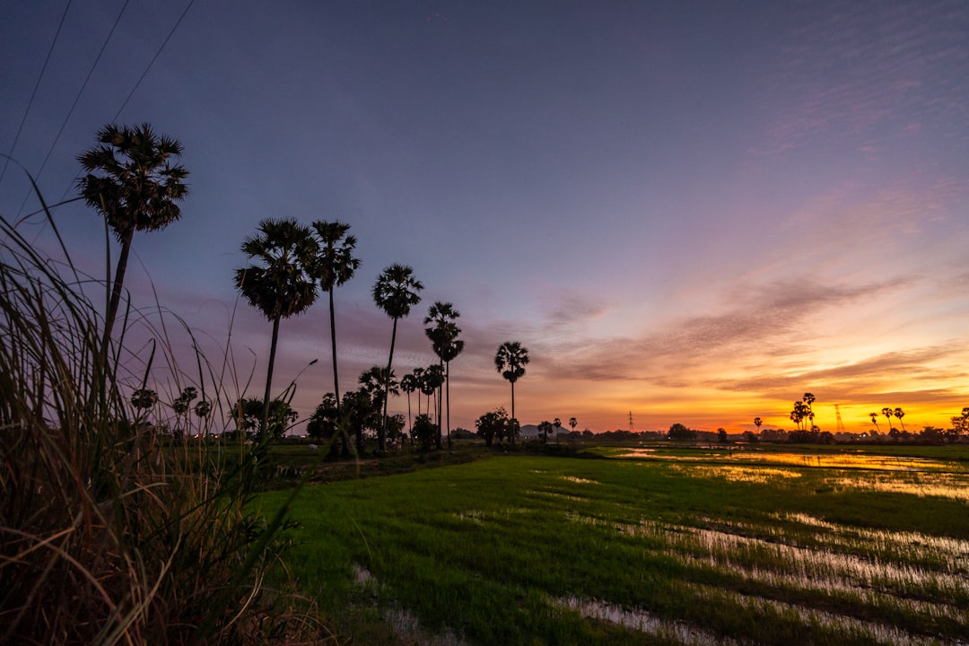 Discover Cambodia's Top Kayaking & Canoeing Spots: An Adventurer's Guide