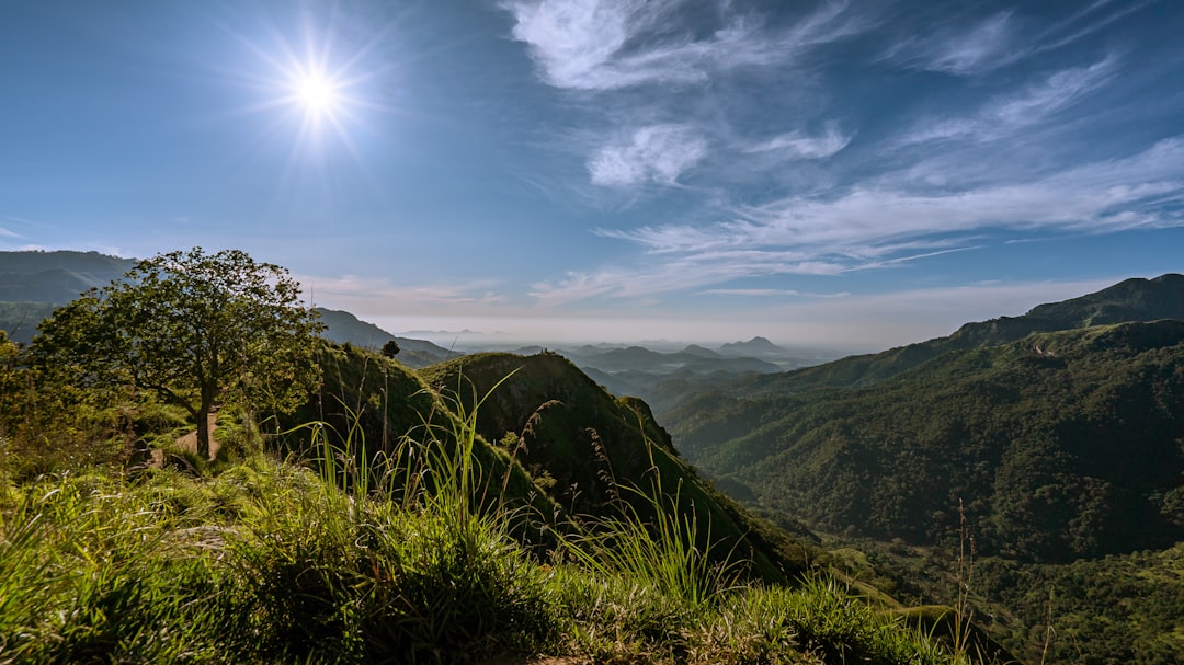 Discover Sri Lanka: Top 10 Must-Buy Souvenirs & Gifts for Tourists