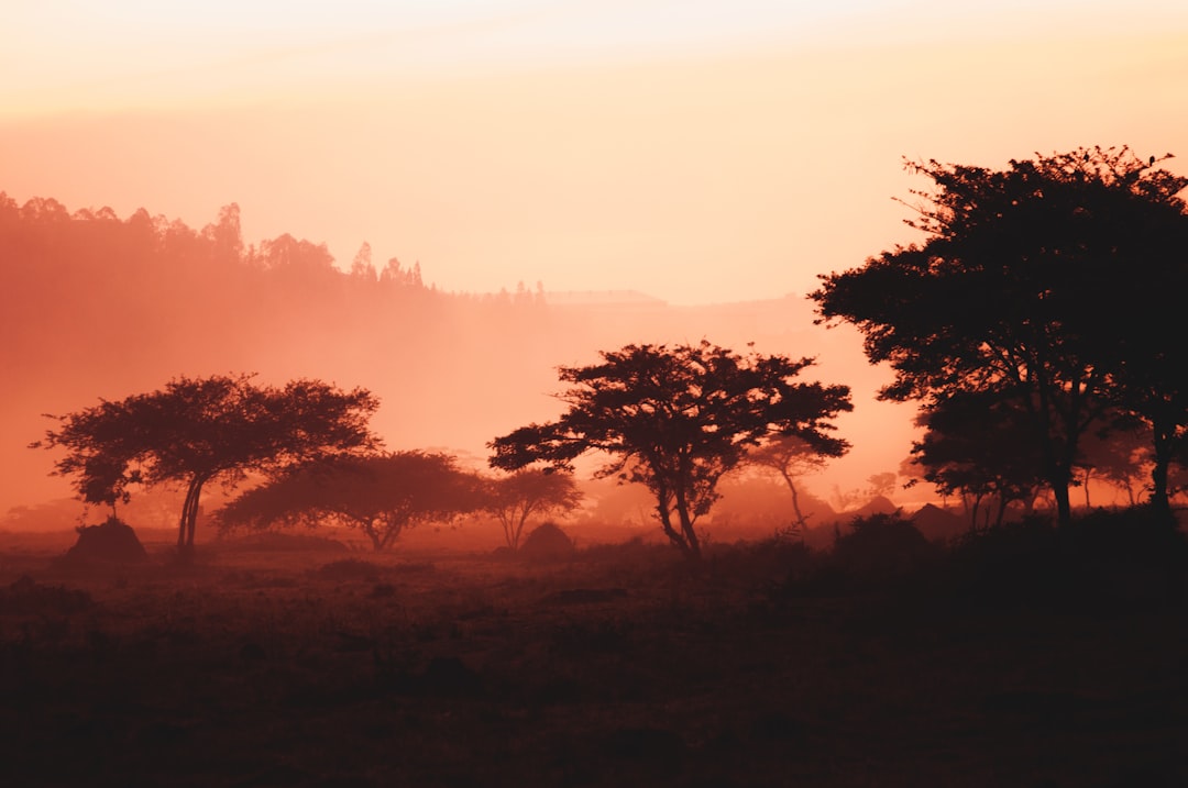 Discover Rwanda's Rich History: Top Open-Air Museums You Must Visit