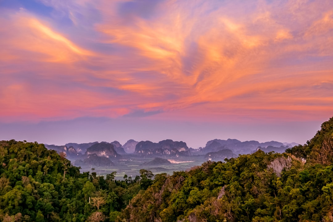 Unveiling Asia's Top Birdwatching Paradises: Your Ultimate Guide to Avian Adventures