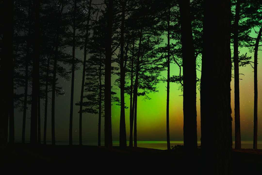 Discover Estonia's Best Scenic Drives: Unforgettable Road Trips & Hidden Gems