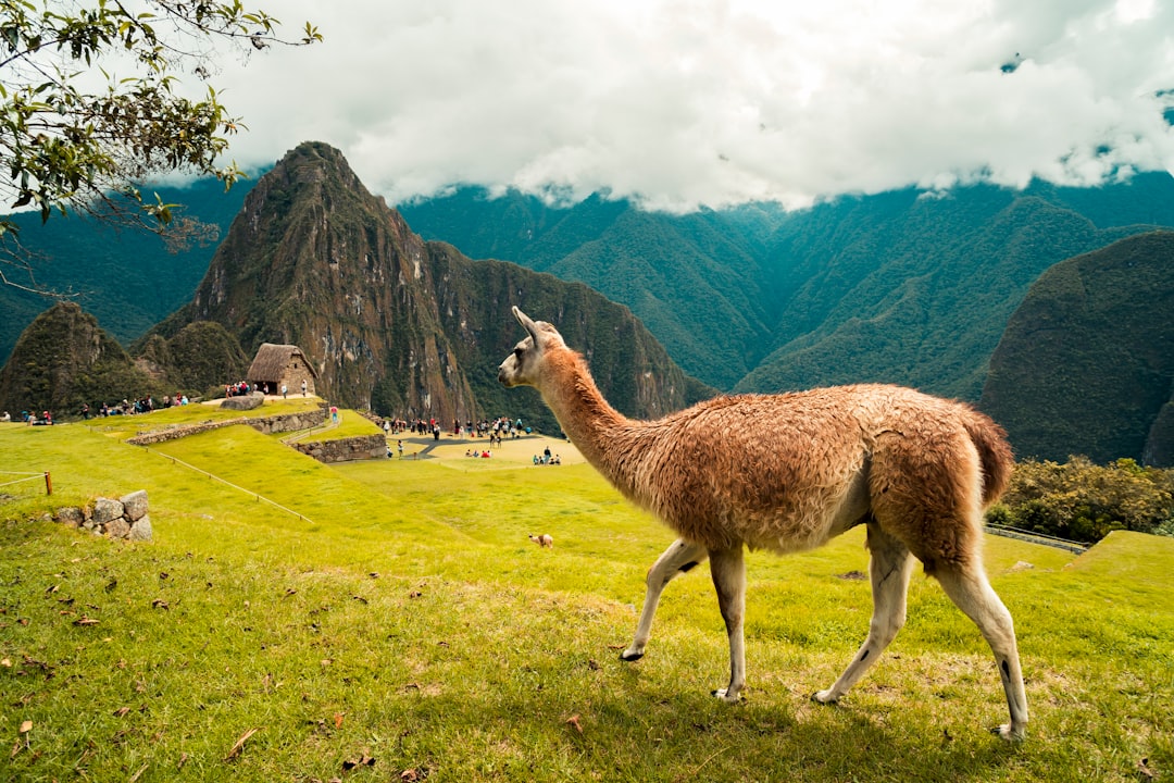 Discover Peru's Sacred Heartbeat: An Ultimate Guide to Religious Landmarks & Temples