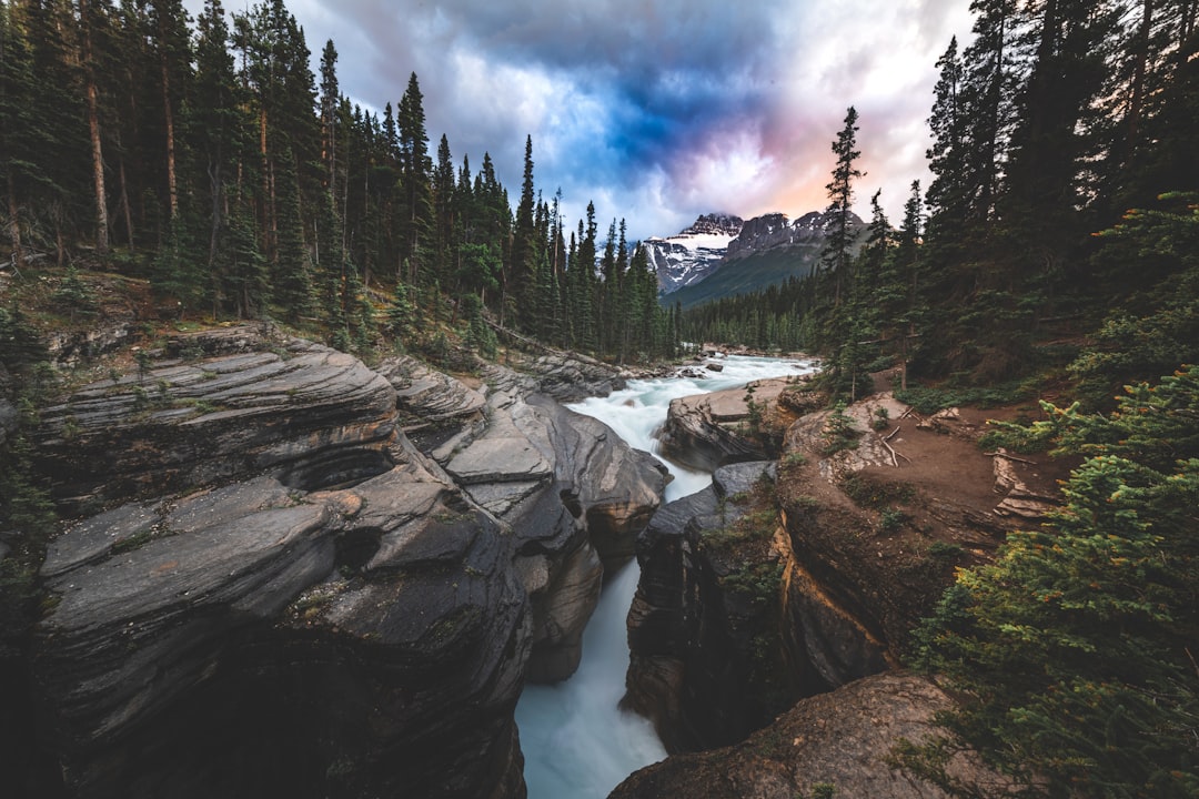 Discover Canada's Most Breathtaking Scenic Walkways: Your Ultimate Guide