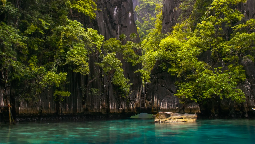 Discover the Best Local Fruit Markets in the Philippines: A Tropical Paradise Awaits!