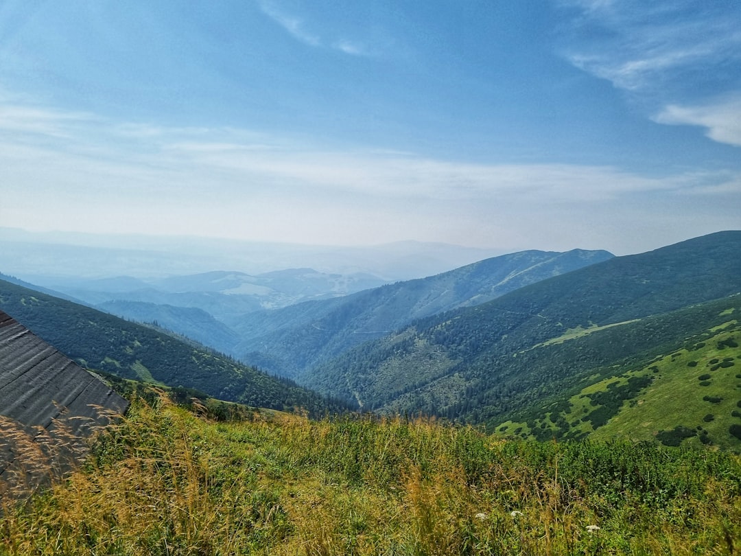 Discover the Best Local Bakeries in Slovakia: A Sweet Journey Awaits