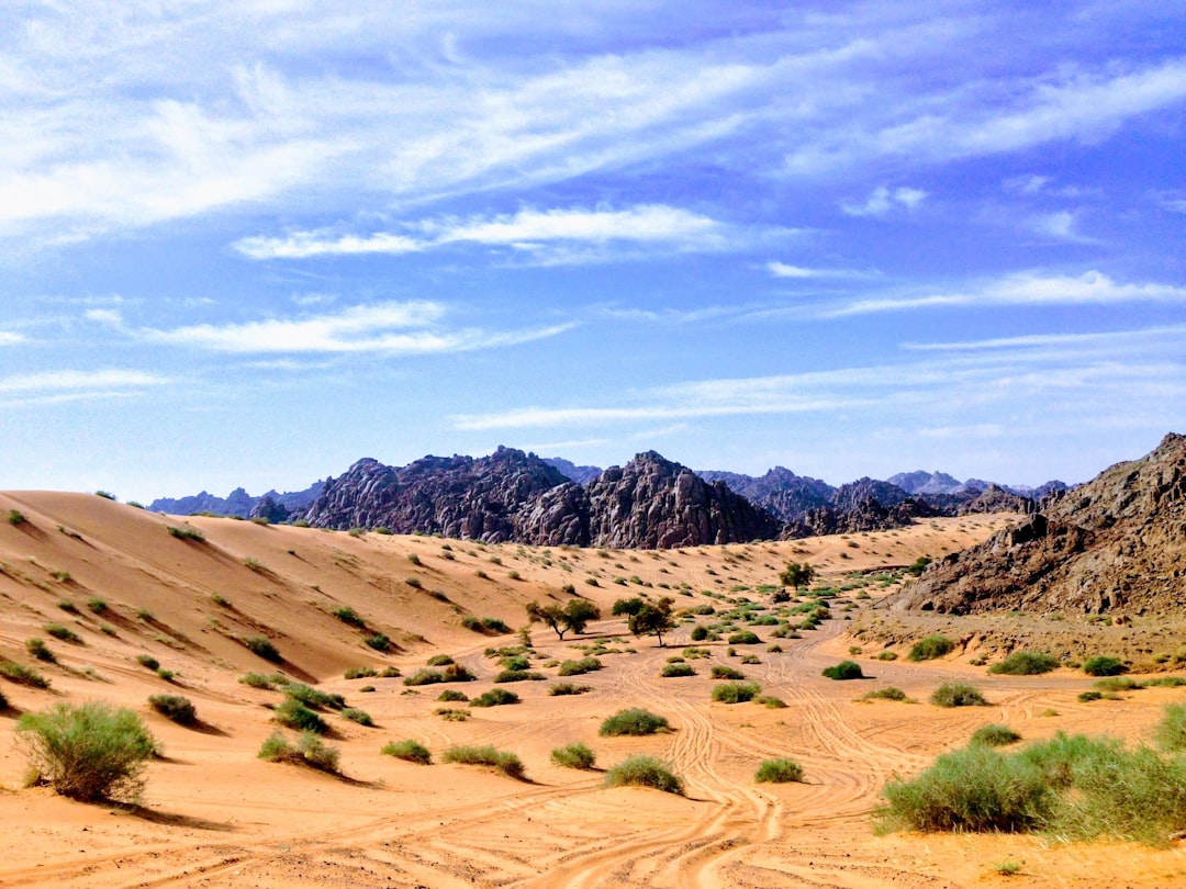 How to Visit Saudi Arabia on a Solo Female Traveler’s Budget