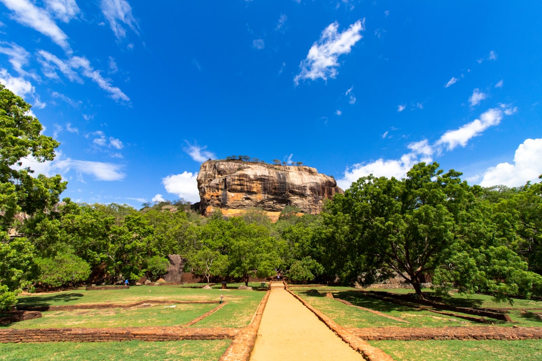 Your Easy Guide to Using Vending Machines in Sri Lanka