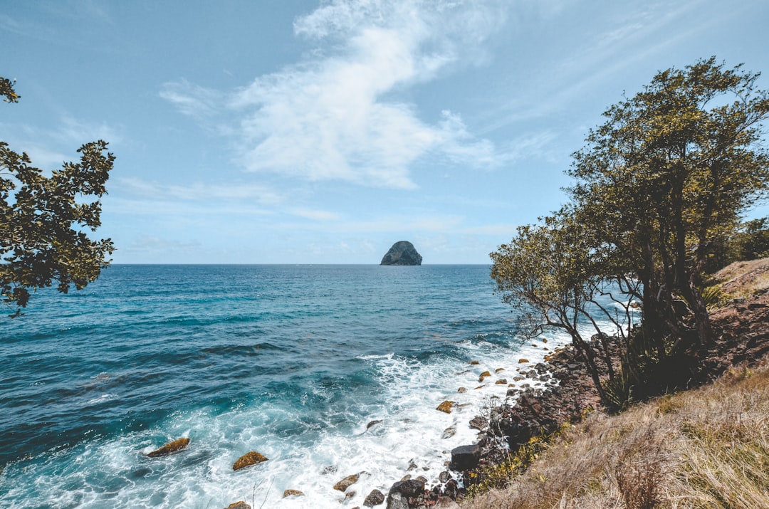 The Best Riverside Walks and Cruises in Martinique