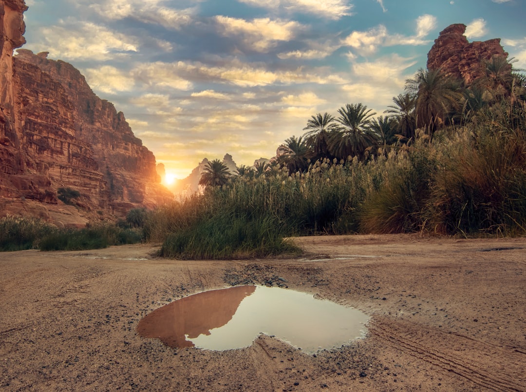 Top 7 Hidden Gems in Saudi Arabia You Won't Find in Guidebooks