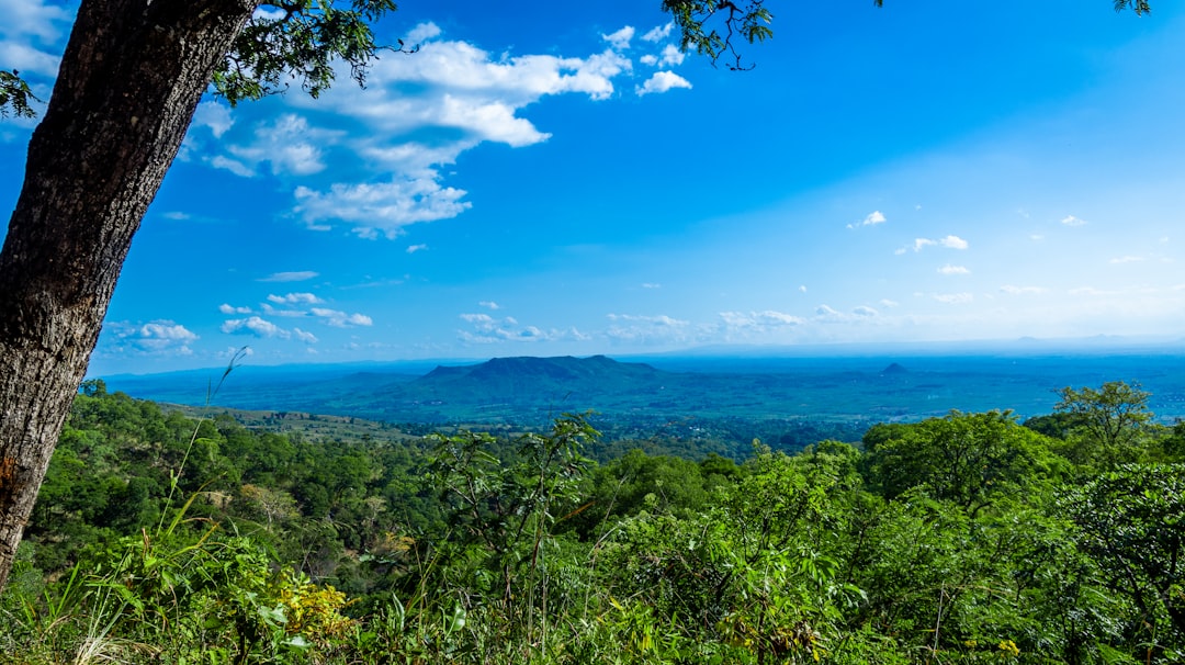 Discover Malawi's Top Horseback Riding Adventures: An Unforgettable Safari Experience