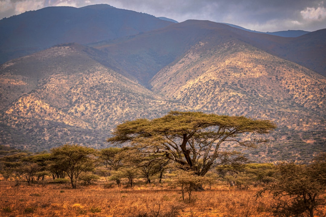 Discover the Vibrant Traditional Dress & Costumes of Tanzania