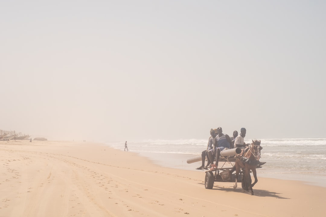 Discover Senegal's Coastal Beauty: Top Scenic Ferry Rides You Can't Miss