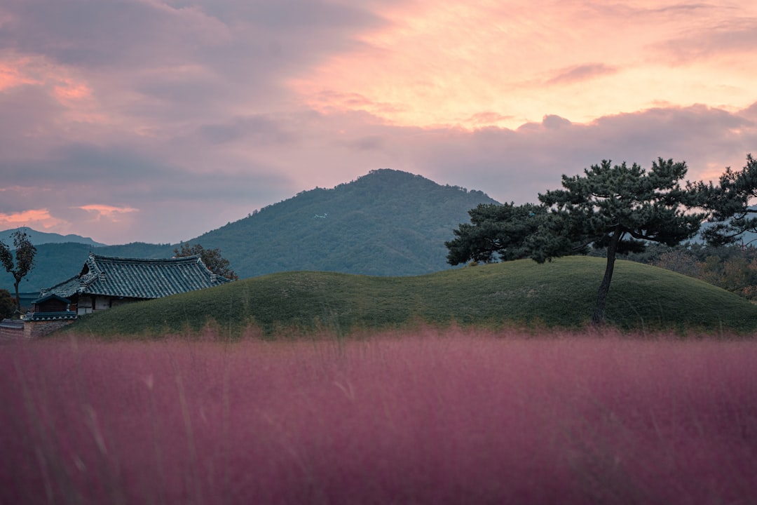 Discover South Korea's Scenic Charms: Top Riverside Walks & Unforgettable River Cruises