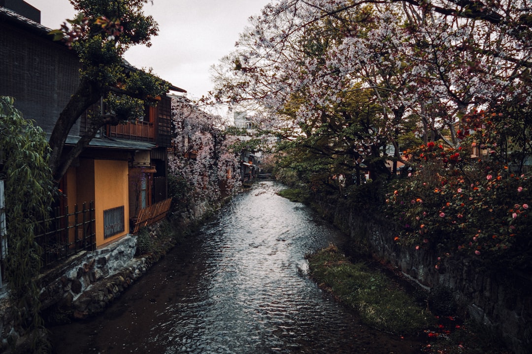 Uncover Japan's Flavor Secrets: A Guide to Local Spice Markets