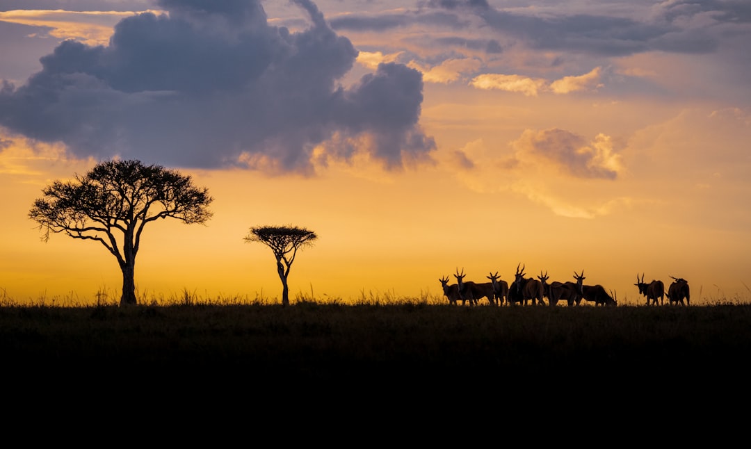 Discover Kenya's Iconic Fountains: A Traveler's Guide