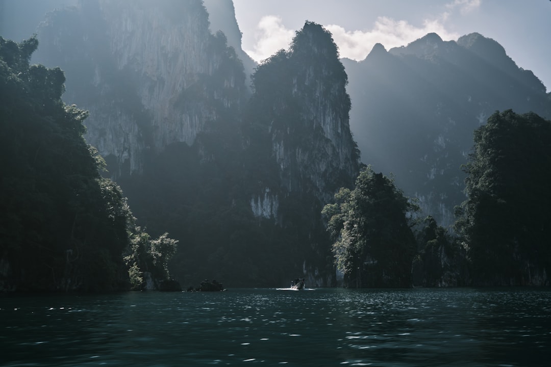 Asia's Top Spots for Whale & Dolphin Watching: An Unforgettable Marine Adventure