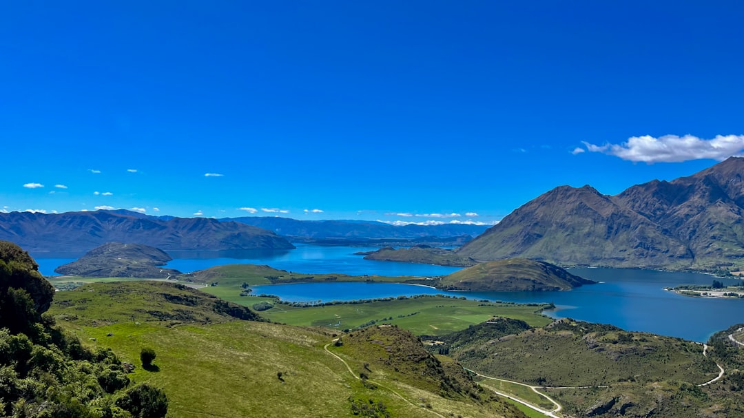 Coffee Culture in New Zealand: The Best Cafes for Caffeine Lovers