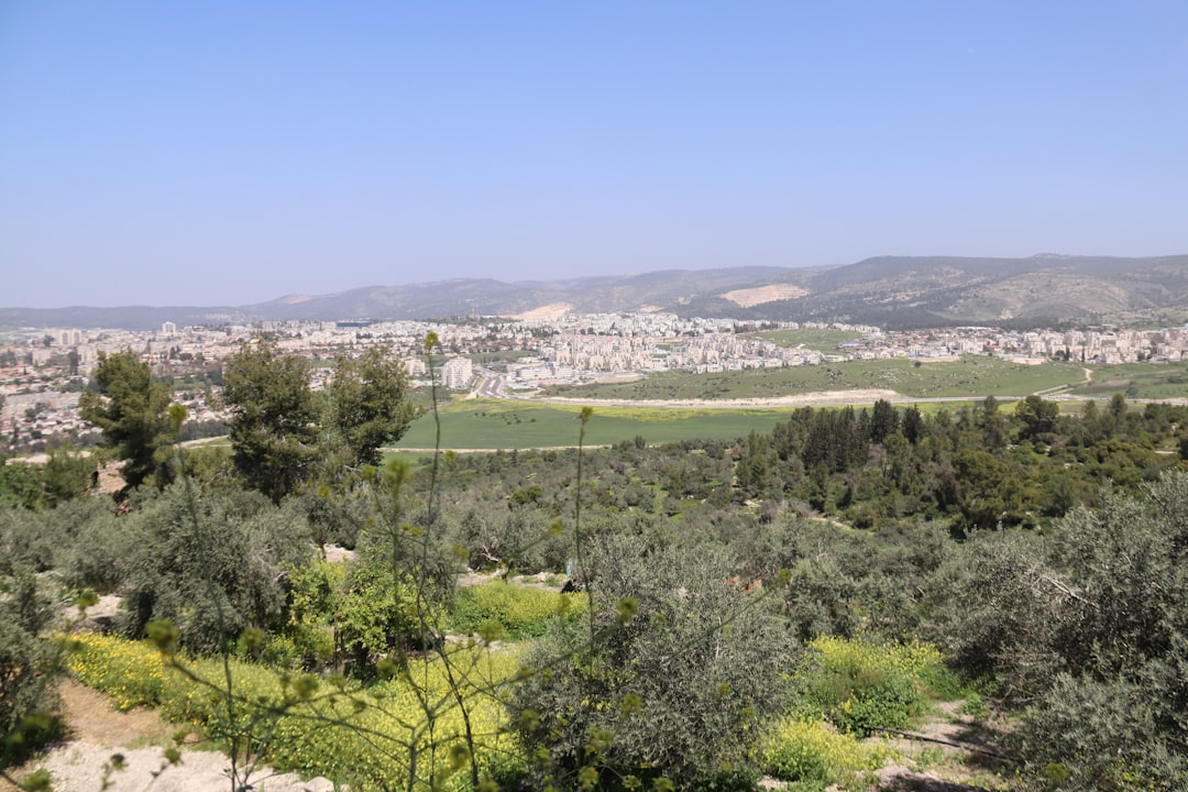 Master Israel's Public Transport: Your Essential Guide to Navigating with Apps