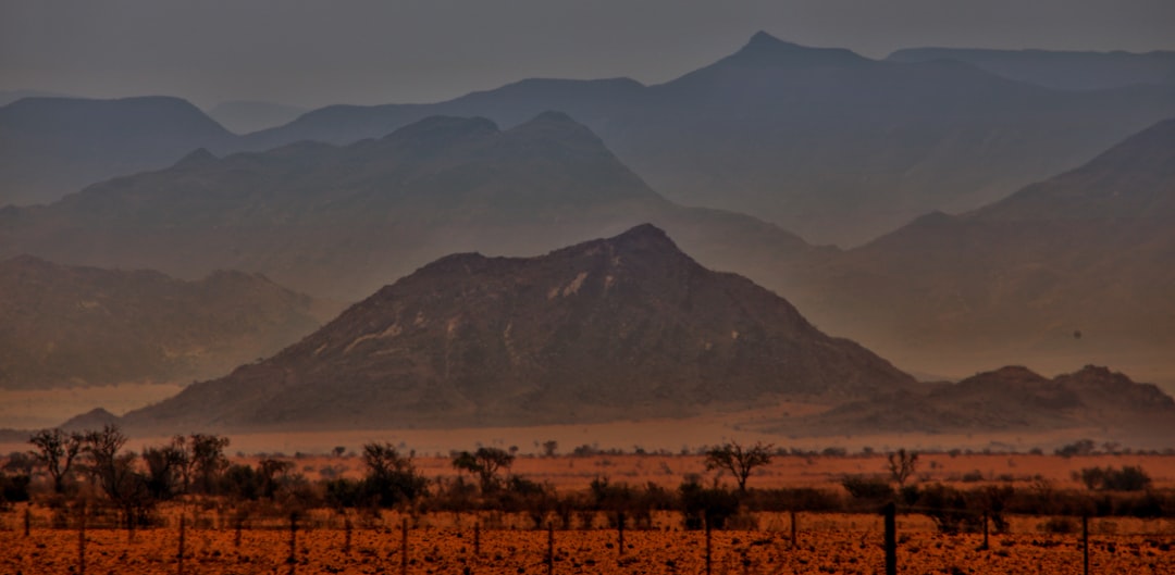 The Best Places for Wildlife Spotting in Namibia: An Unforgettable Safari Guide