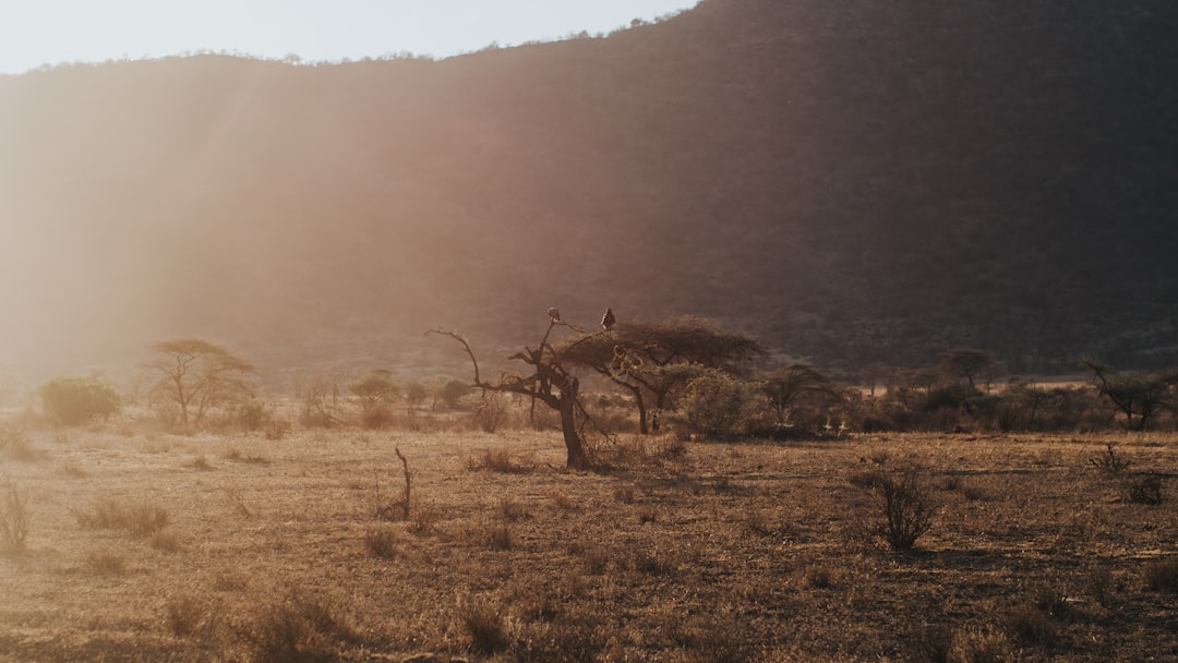 Discover Kenya's Iconic Courtyards: A Journey Through History and Serenity