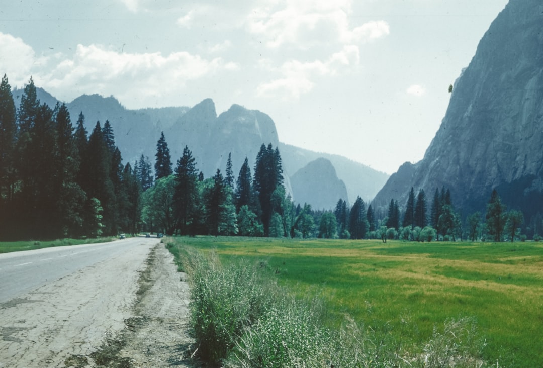 The Best Places for a Digital Detox in the United States