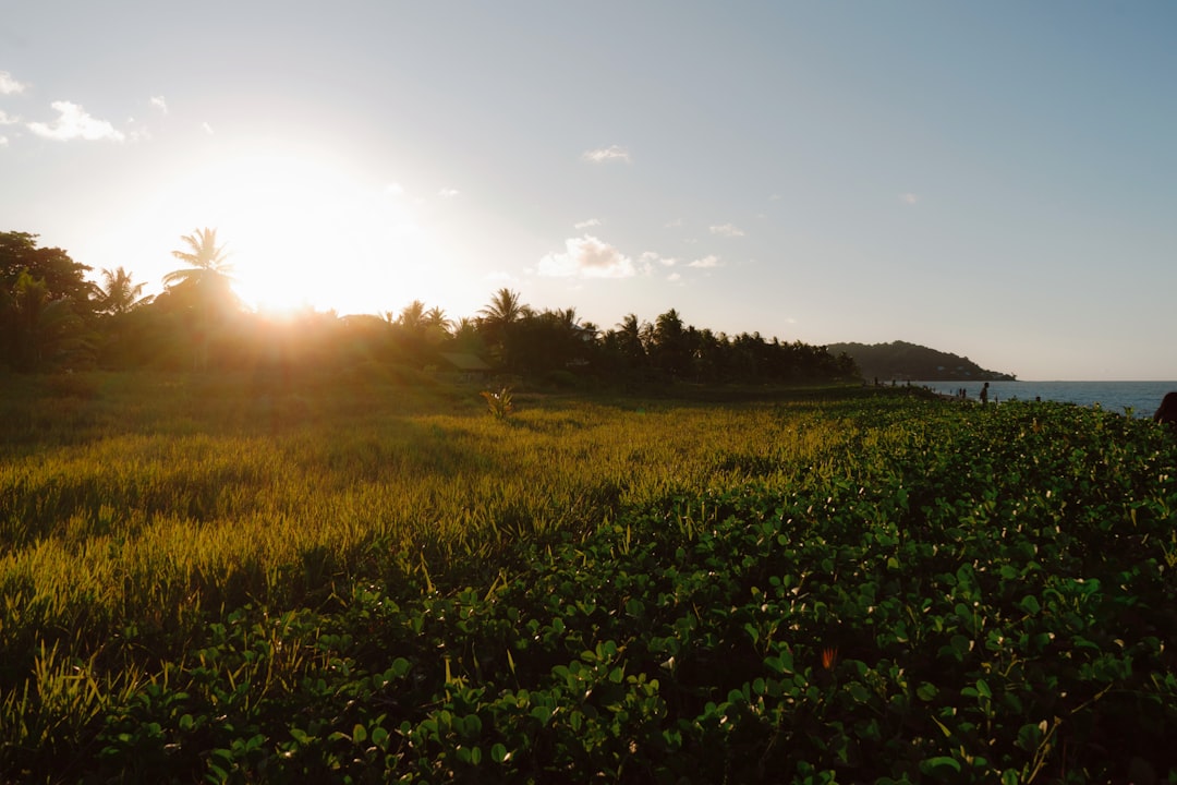 A Guide to the Most Famous City Bridges in French Guiana