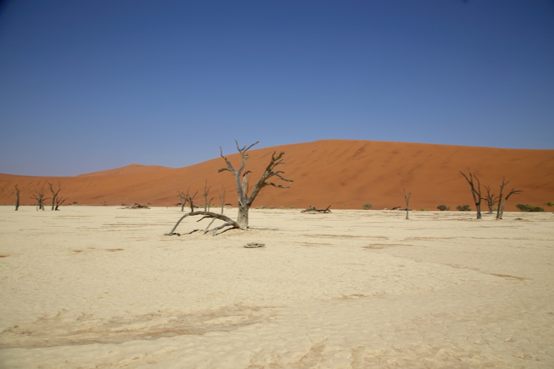 Unforgettable Namibia Day Trips: Explore Beyond the Major Cities!