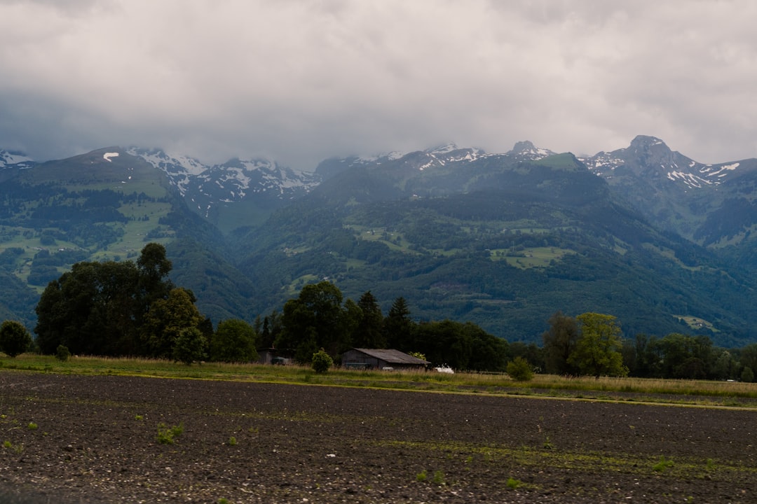 The Best Local Crafts Workshops for Tourists in Liechtenstein
