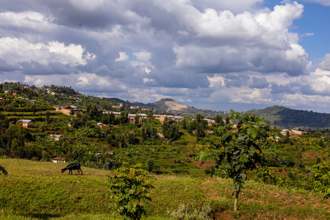 Mastering Rwanda Photography: Top 10 Tips for Capturing Stunning Shots