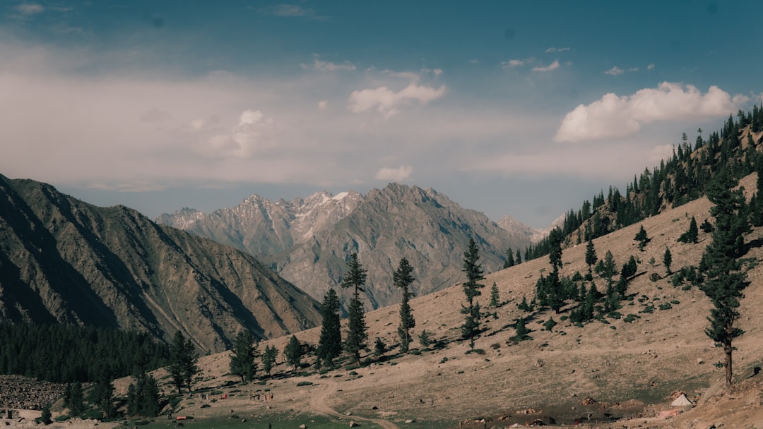 Uncover Literary Treasures: Exploring Pakistan's Best Local Book Markets